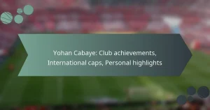 Yohan Cabaye: Club achievements, International caps, Personal highlights