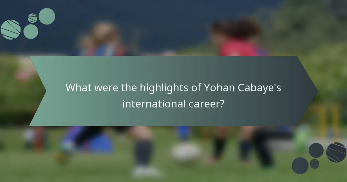 What were the highlights of Yohan Cabaye's international career?